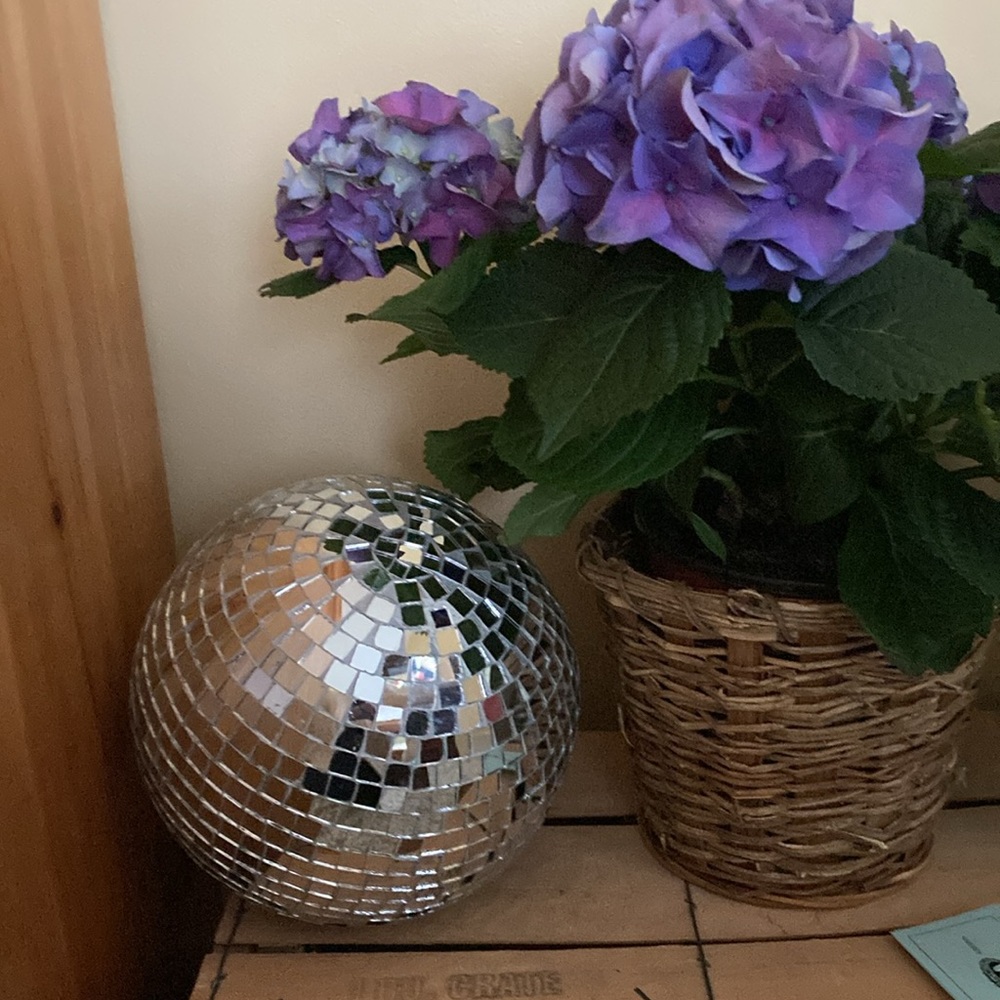 Disco ball